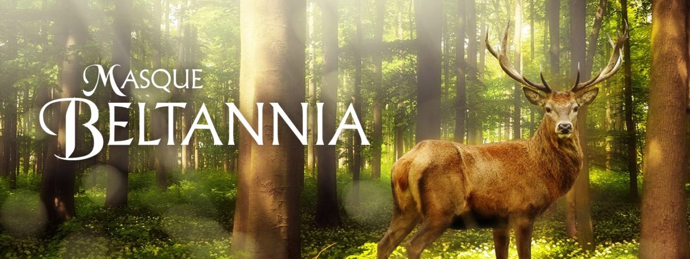 Dagorhir Battle Games