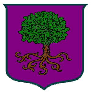 Dagorhir Battle Games